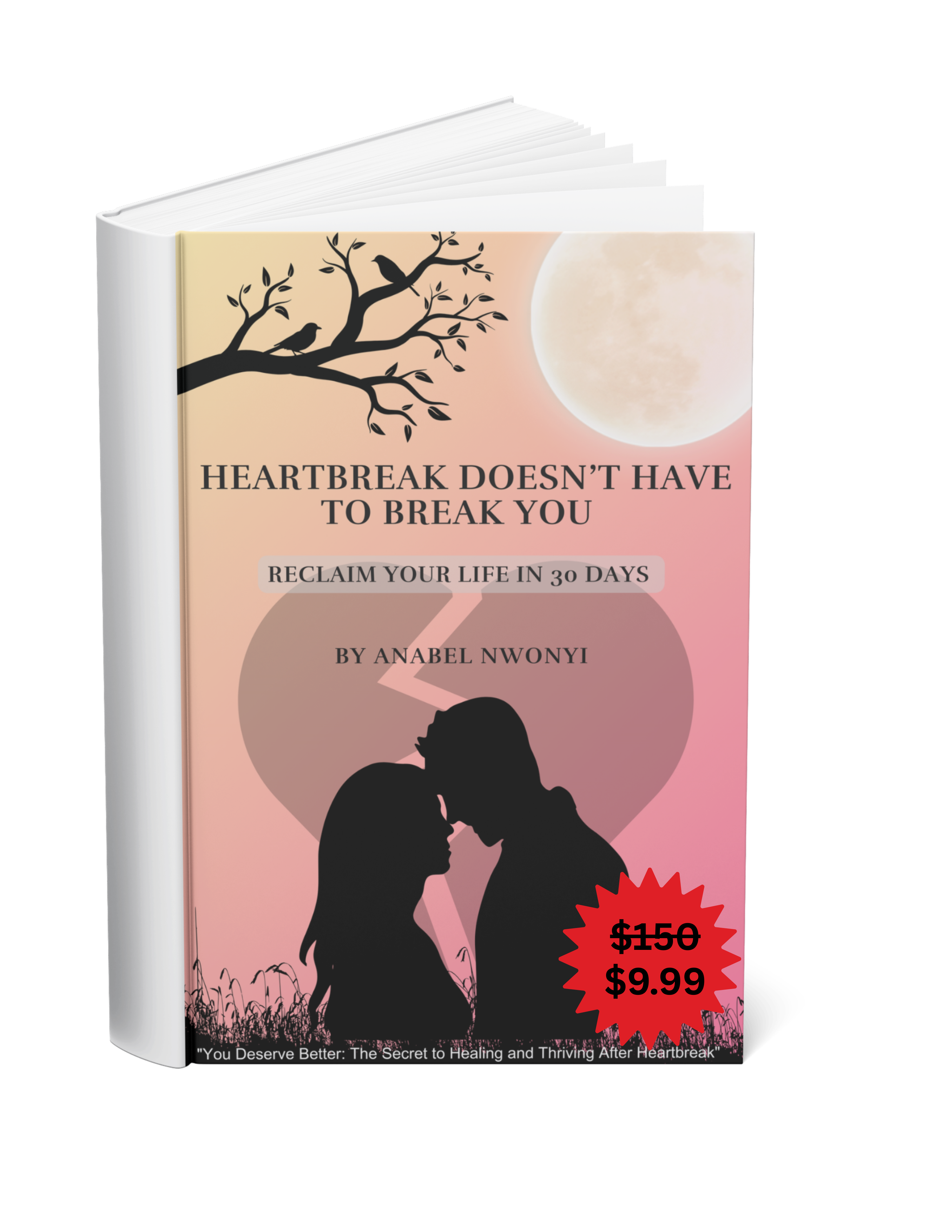 eBook Cover